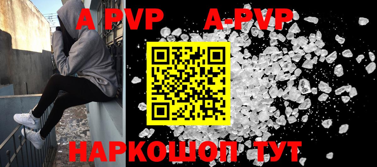 A PVP СК КРИС Каменка