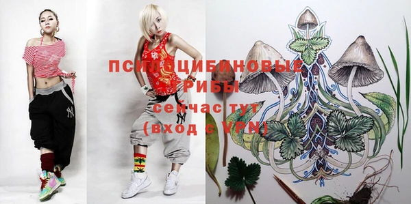 a pvp Алексин