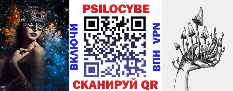 Галлюциногенные грибы мицелий  купить   Каменка 