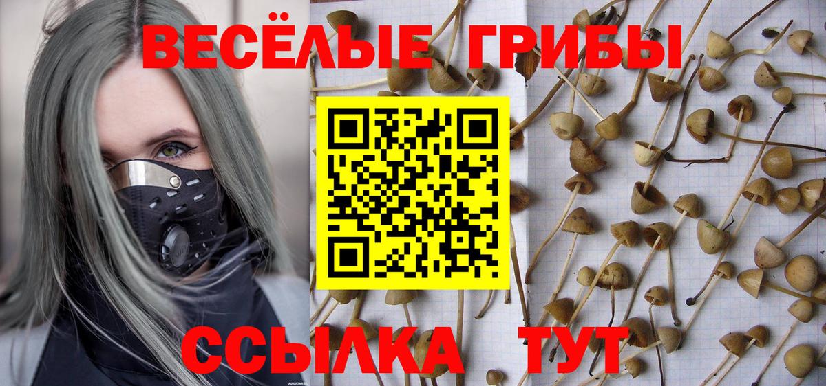 Каменка  Галлюциногенные грибы Magic Shrooms  Вход с VPN 