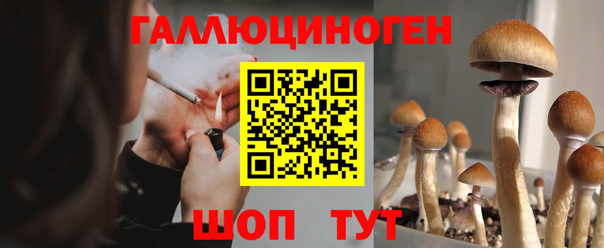 Псилоцибиновые грибы GOLDEN TEACHER Каменка